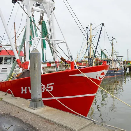 Three-bedroom In Romo Romo